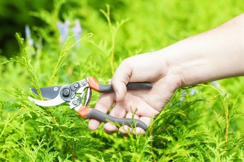 Low-emission van parked outside a Seven Sisters property for garden maintenance