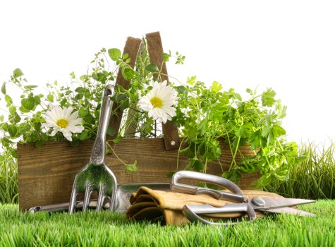 Best practices for secure Garden Maintenance Seven Sisters transactions