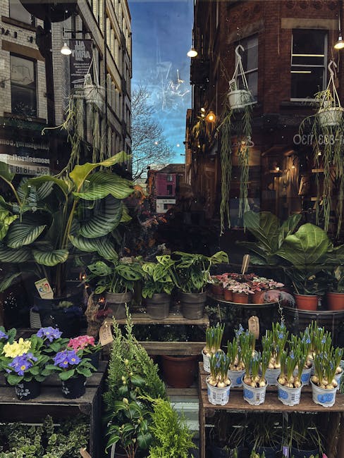 A display of various potted plants and flowers arranged on wooden shelves and tables outside a shop window, with large leafy green plants and smaller flowering pots including primroses in pastel-color